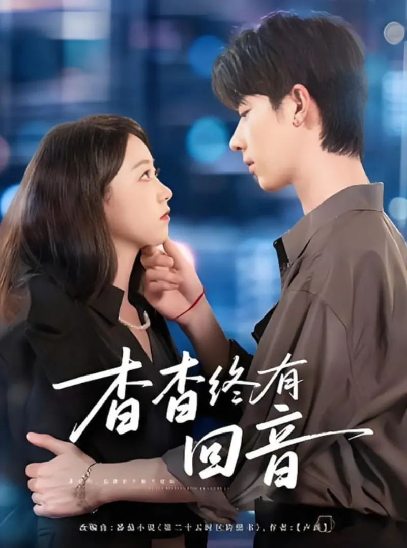 《杳杳终有回音》：都市男女情感纠葛的温柔回响，爱与错过中的真挚追寻